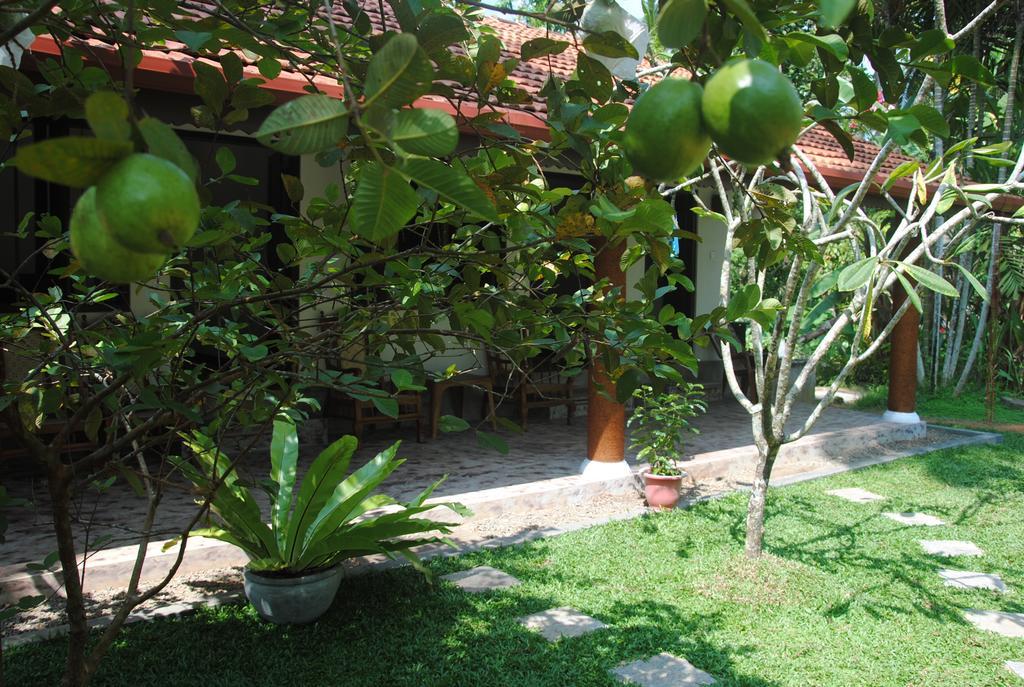 Aknara Rest Otel Weligama Dış mekan fotoğraf