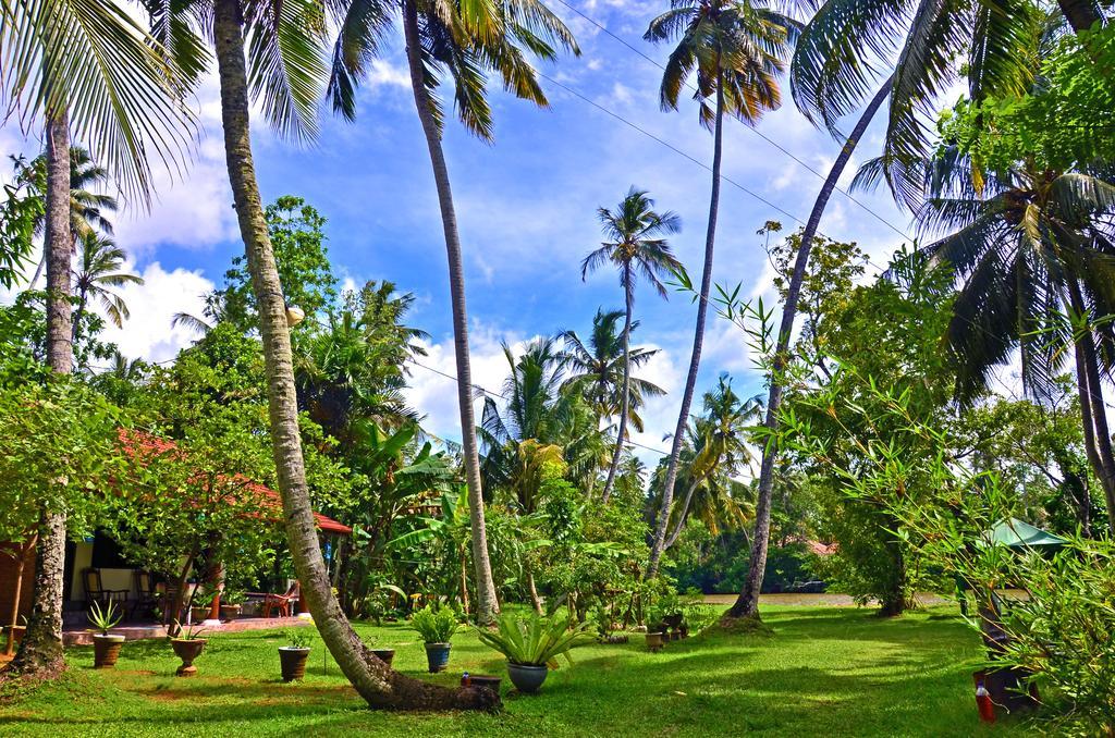 Aknara Rest Otel Weligama Dış mekan fotoğraf