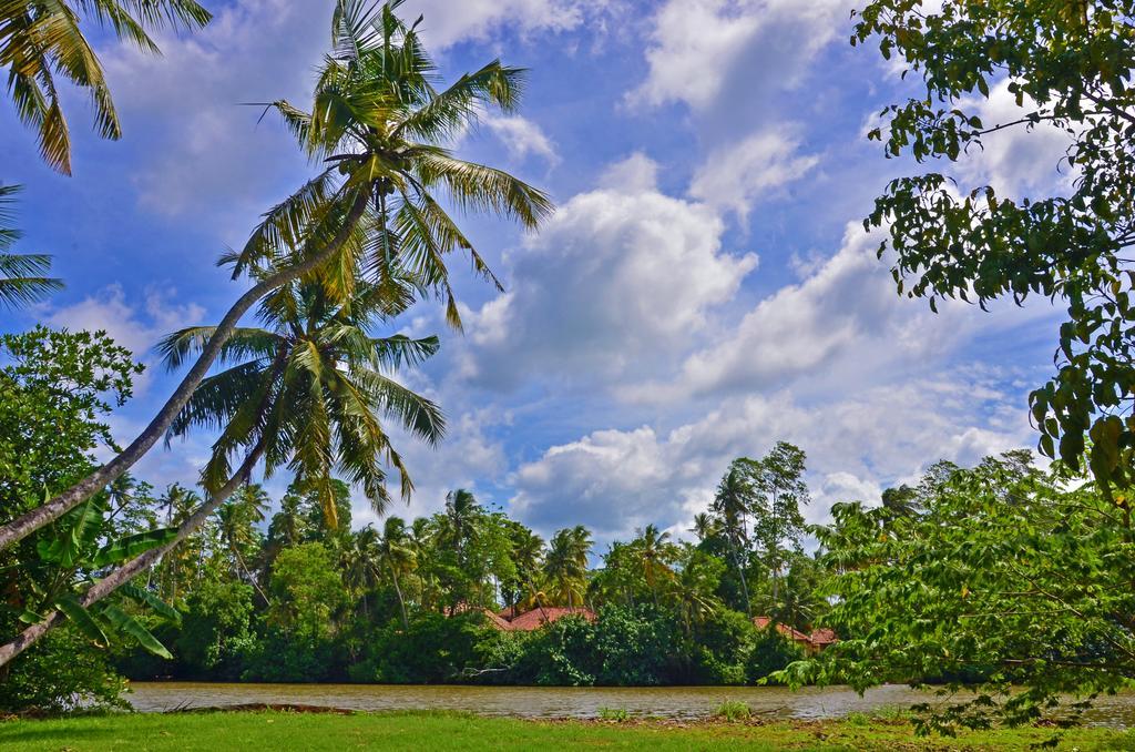 Aknara Rest Otel Weligama Dış mekan fotoğraf
