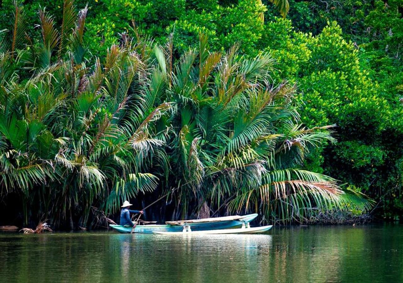 Aknara Rest Otel Weligama Dış mekan fotoğraf